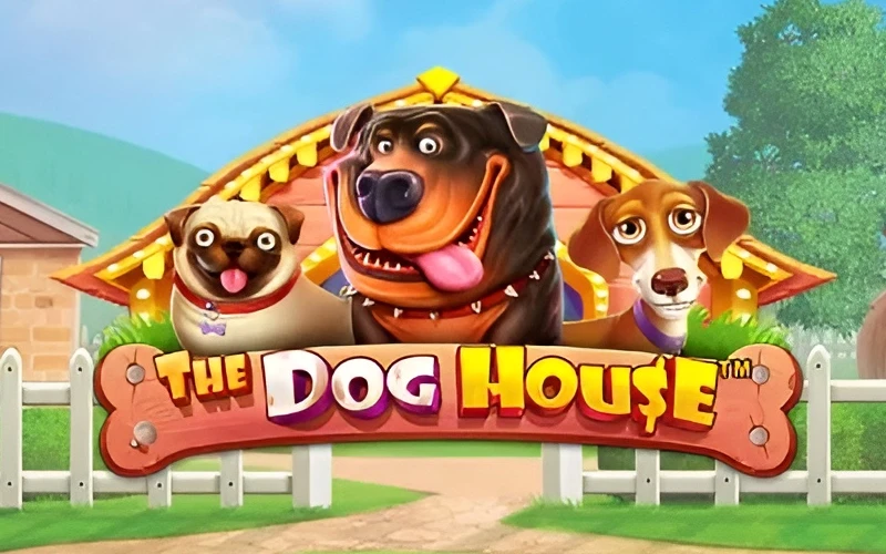 Besuche die lustigen Vierbeiner und sichere dir wilde Gewinne bei The Dog House im LocoWin Casino.